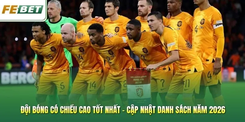Đội Bóng Có Chiều Cao Tốt Nhất - Cập Nhật Danh Sách Năm 2026