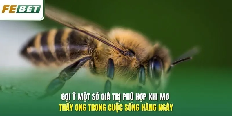 Gợi ý một số giá trị phù hợp khi mơ thấy ong trong cuộc sống hàng ngày.