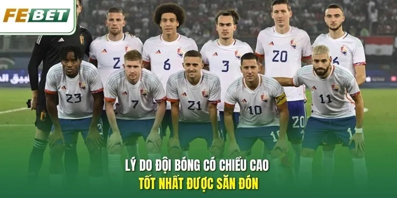 Lý do đội bóng có chiều cao tốt nhất được săn đón