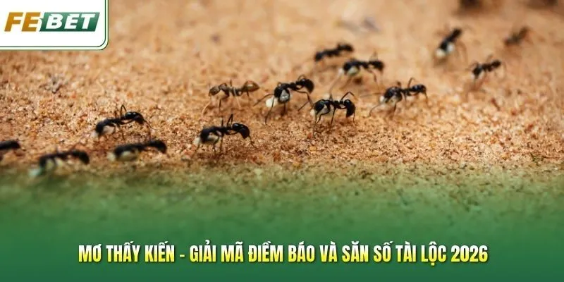 Mơ Thấy Kiến - Giải Mã Điềm Báo Và Săn Số Tài Lộc 2026
