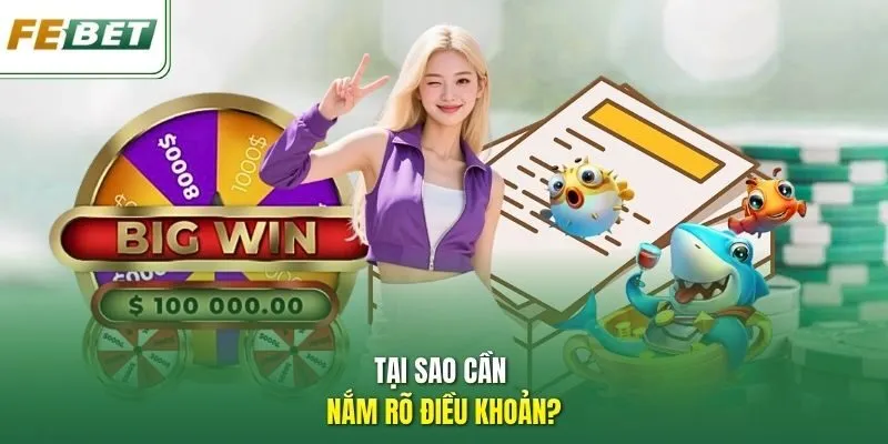 Tại sao cần nắm rõ điều khoản?