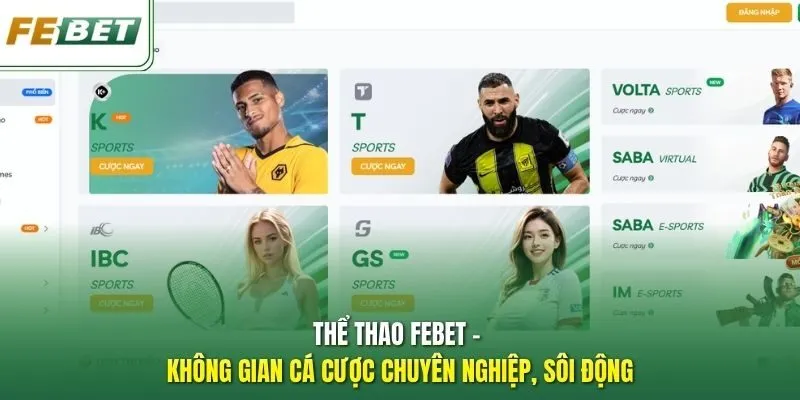 Thể thao Febet - Không gian cá cược chuyên nghiệp, sôi động