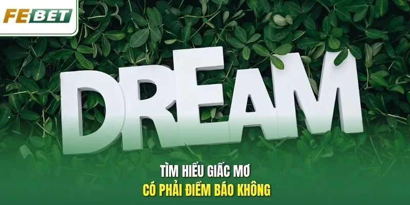 Tìm hiểu giấc mơ có phải điềm báo không.