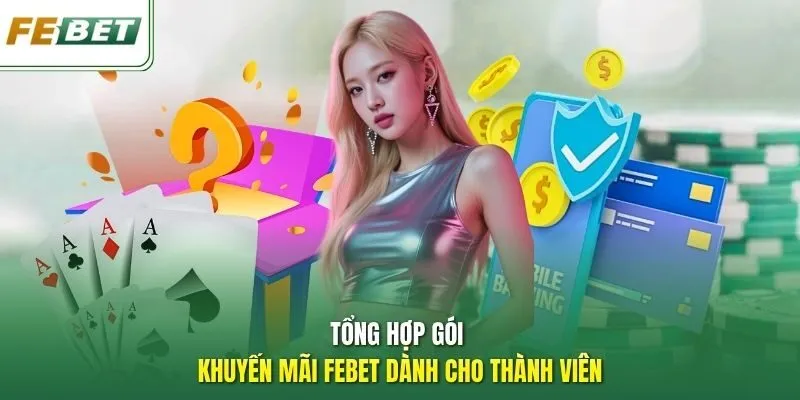 Tổng hợp gói khuyến mãi FEBET dành cho thành viên